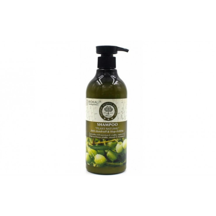 Шампунь Plant Natural Olive 550мл