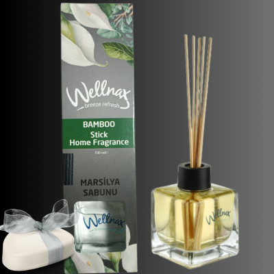 Аромадиффузор Wellnax Marsilya 100ml