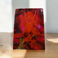 Пакет подарочный PVC цветы 24х18х7cm