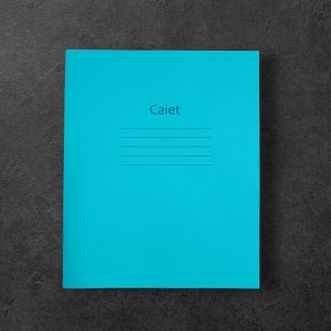 Caiet coperta verde 12foi  linia mare 1,см
