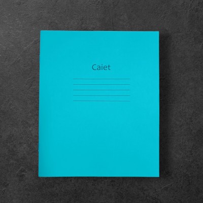 Caiet coperta verde 12f   linia oblica  0,5,см