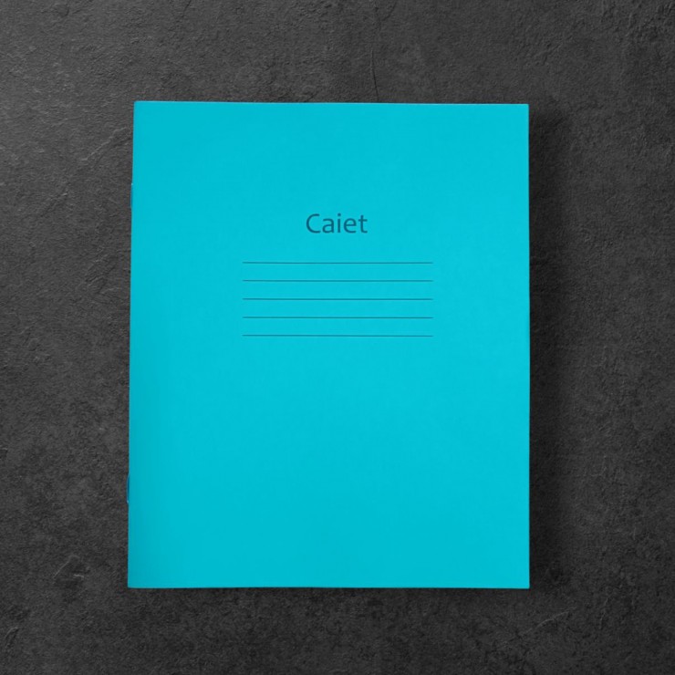 Caiet coperta verde 12f   linia oblica  0,5,см