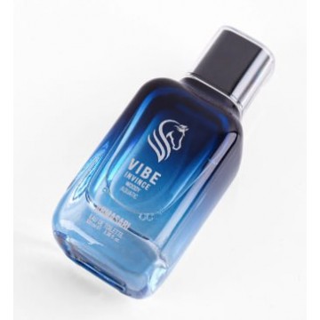Парфюмированная вода Armasari Vibe Invince 100 ml for men