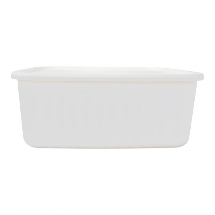 Cutie cu capac Boxsis, 10 Litri